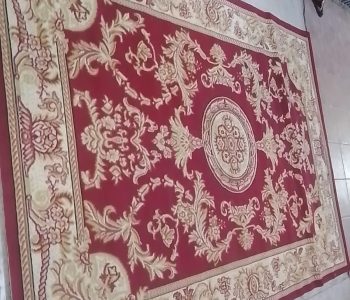 WhatsApp Image 2025-02-18 at 2.13.13 PM